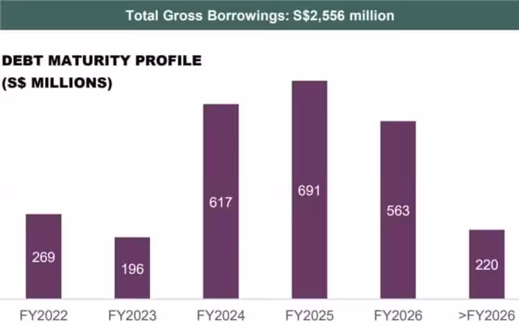 FLCT Debt Maturity Profile 1QFY22