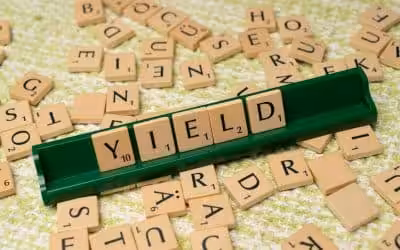 Dividend Yield