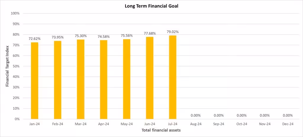Long Term Financial Goal Progress for July 2024