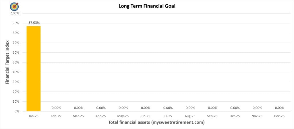 Long Term Financial Goal Progress for January 2025